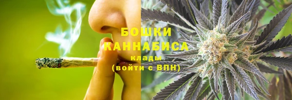 PSILOCYBIN Кодинск