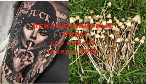 PSILOCYBIN Кодинск