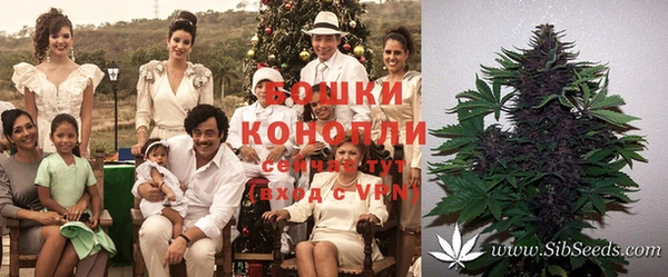 PSILOCYBIN Кодинск