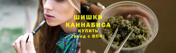 PSILOCYBIN Кодинск
