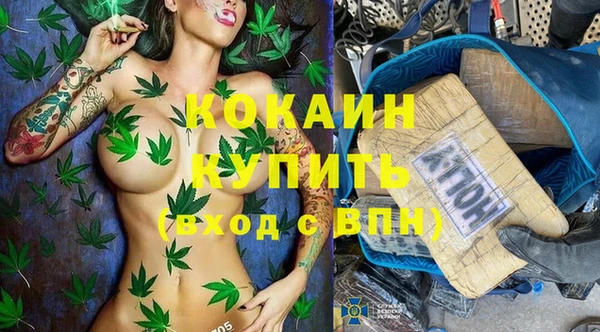 PSILOCYBIN Кодинск