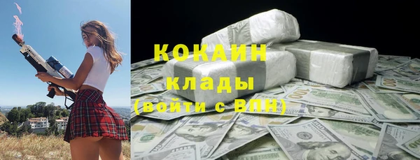 PSILOCYBIN Кодинск